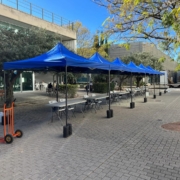 carpa plegable azul, carpas plegables para eventos