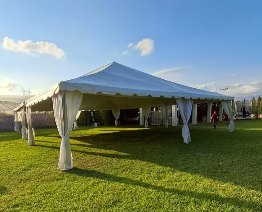 carpas para bodas